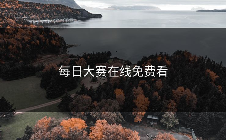 每日大赛在线免费看